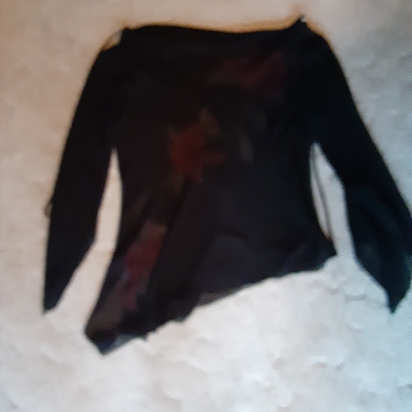 Sheer Top - Picture 4 of 4